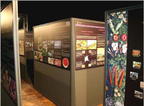 Pannelli espositivi: LINEA MACRO 