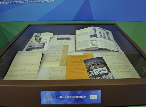 Vetrine espositive Linea Testi