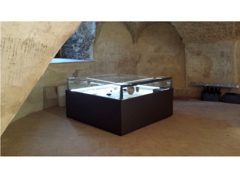 Vetrina espositiva per museo della linea Theca