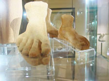 Accessori espositivi